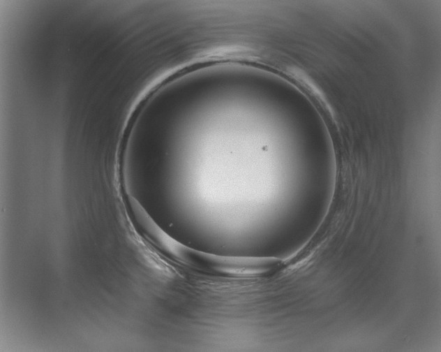 X0000075841336200609151254