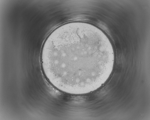 X0000075841338200609151254