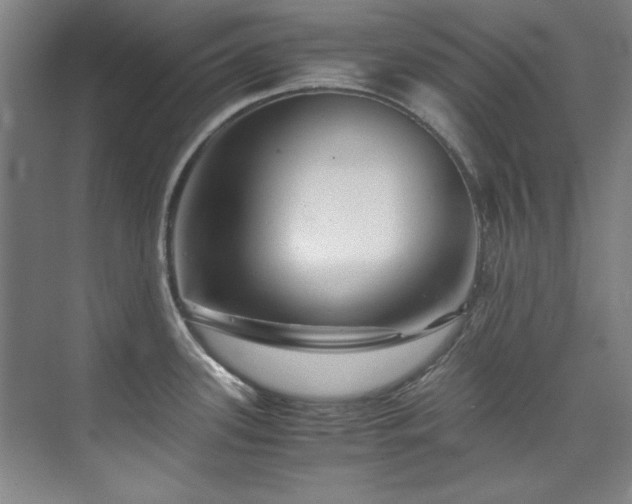 X0000075841339200609151254