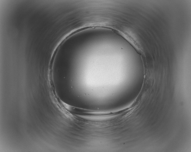 X0000075841340200609151254