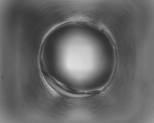 X0000075841344200609151255