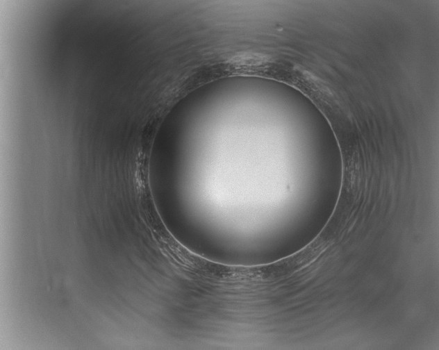 X0000075841346200609151254