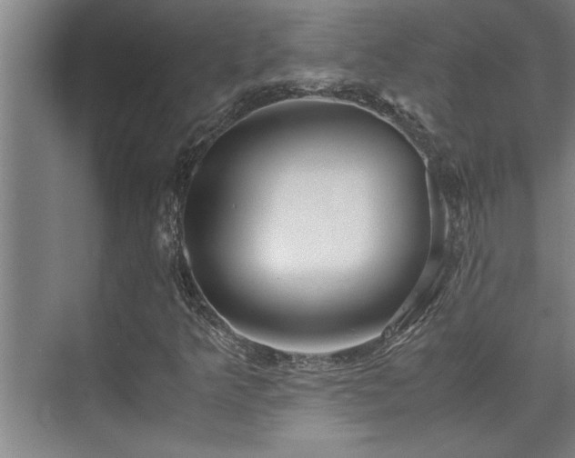 X0000075841349200609151254