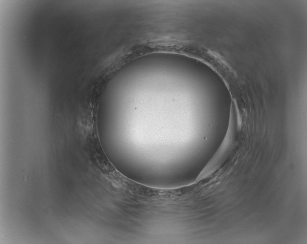 X0000075841350200609151254