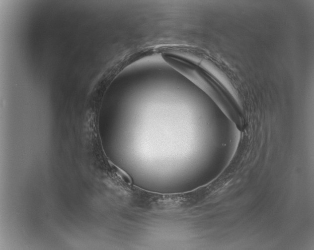 X0000075841351200609151254