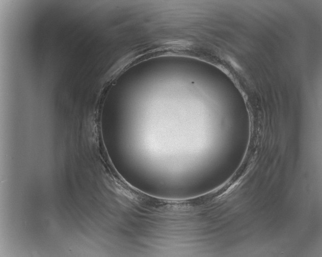 X0000075841354200609151254