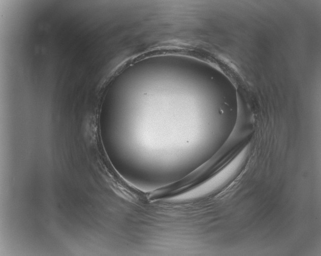 X0000075841355200609151253