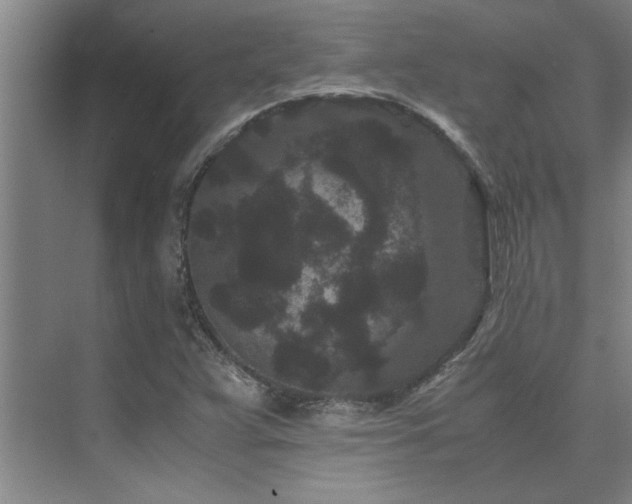 X0000075841359200609151253