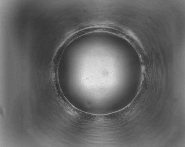 X0000075841360200609151253