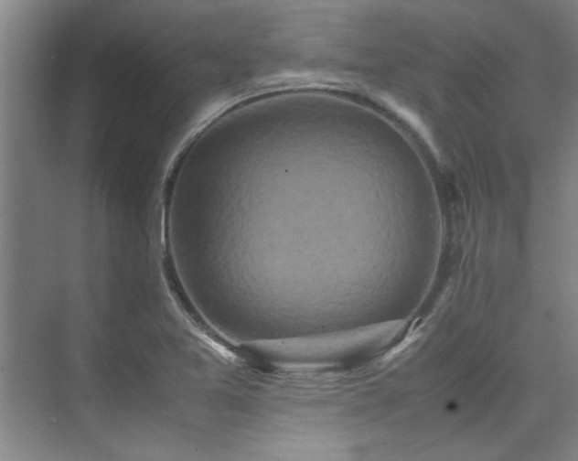 X0000075841365200609151253