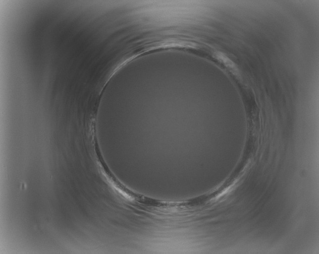 X0000075841369200609151253