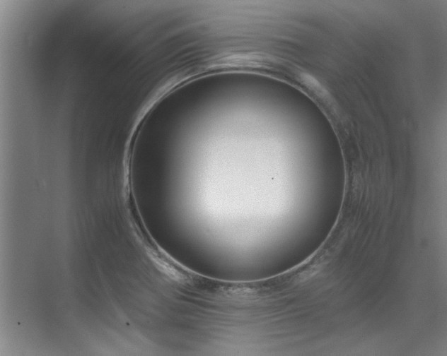 X0000075841370200609151253