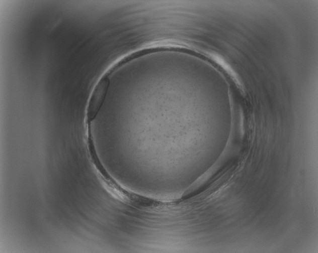 X0000075841372200609151253