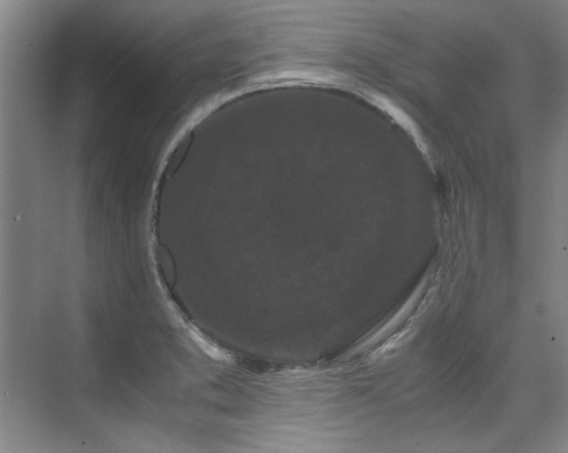 X0000075841373200609151253