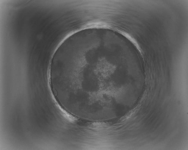 X0000075841383200609151253