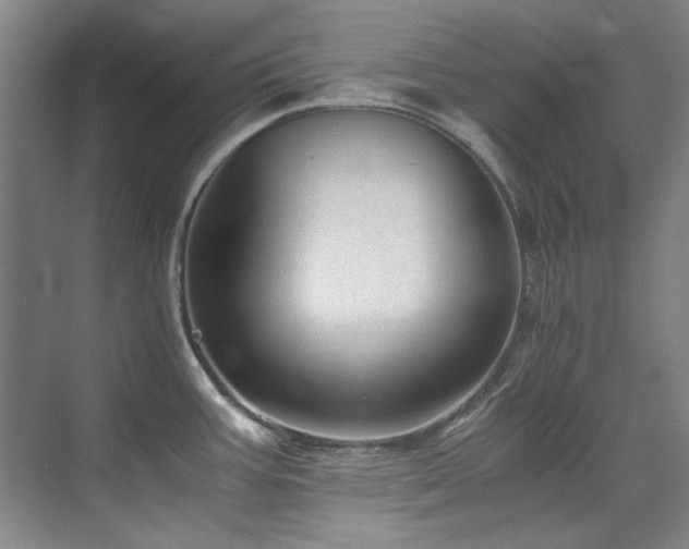 X0000075841387200609151253