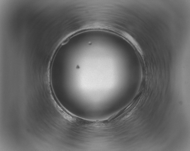 X0000075841388200609151253