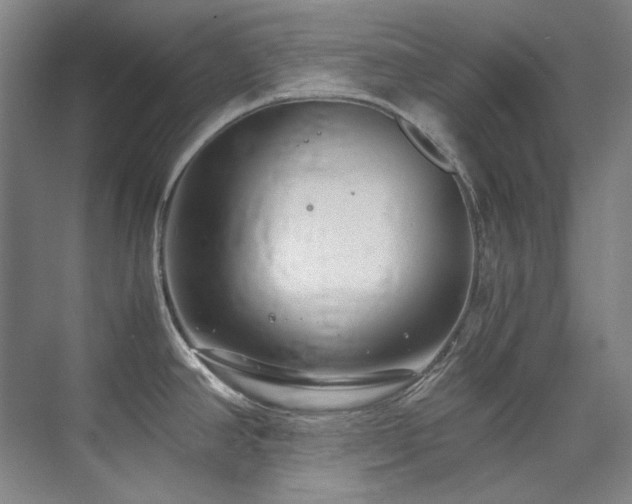 X0000075841390200609151253