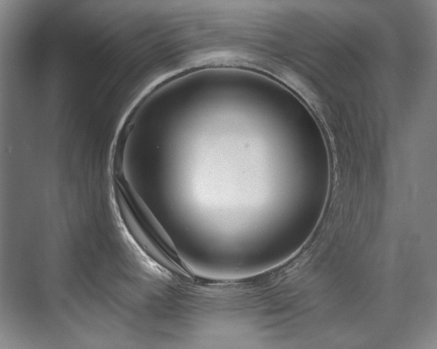 X0000075841392200609151253