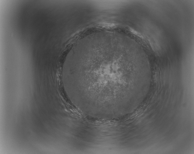 X0000075841397200609151252