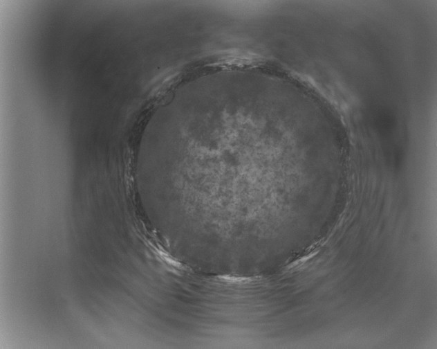 X0000075841399200609151252