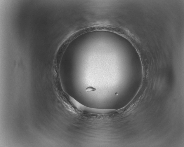 X0000075841400200609151252