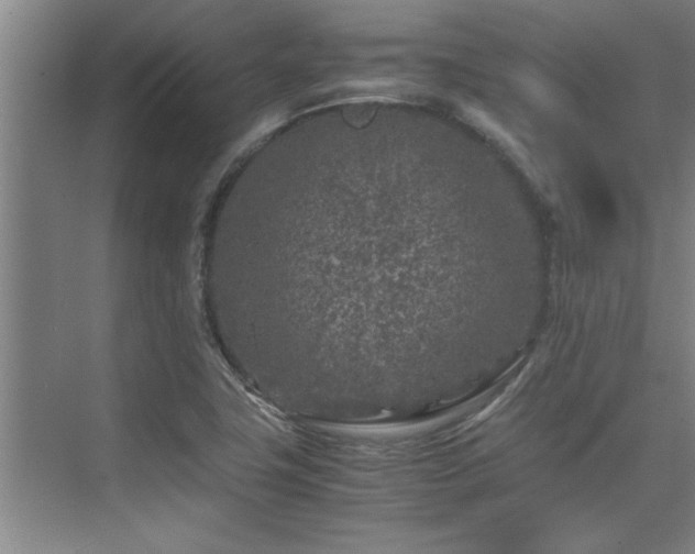 X0000075841411200609151252