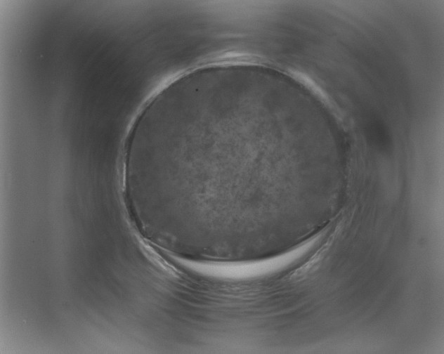 X0000075841413200609151252