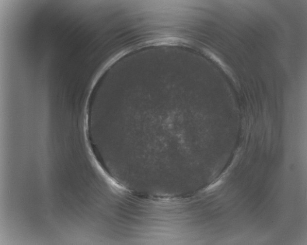 X0000075841418200609151252