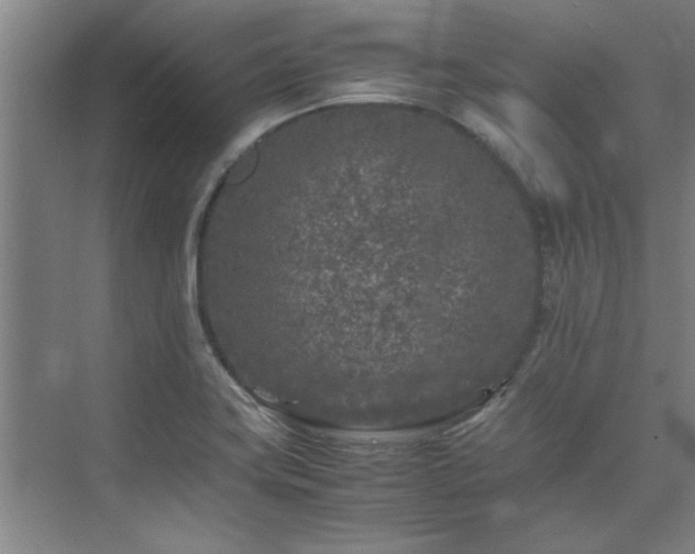 X0000075841419200609151253