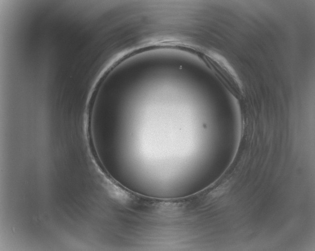 X0000075841424200609151253