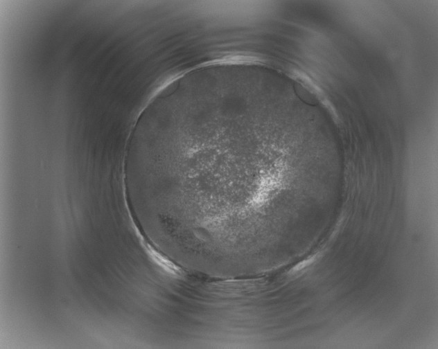 X0000075841425200609151253