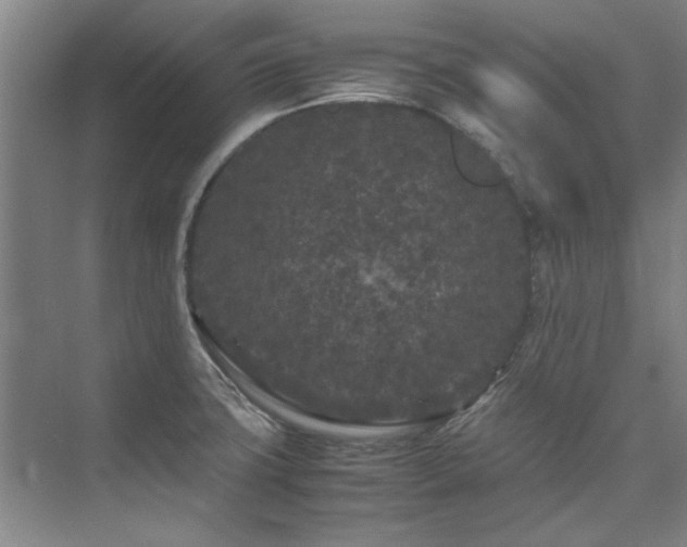 X0000075841427200609151253