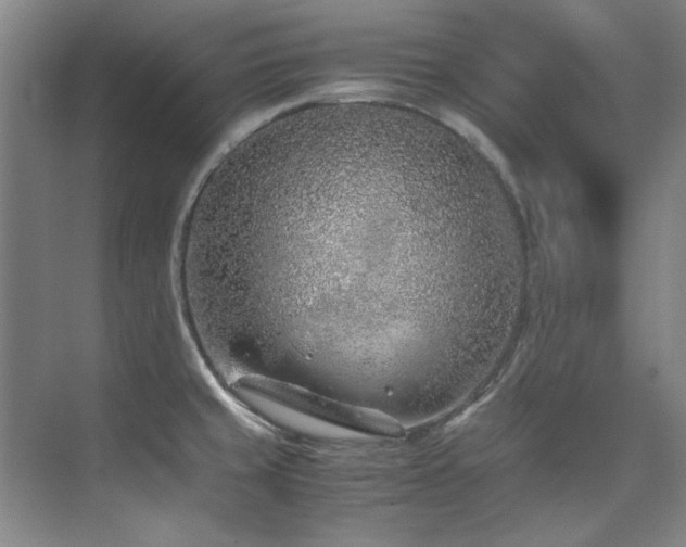 X0000075841429200609151253