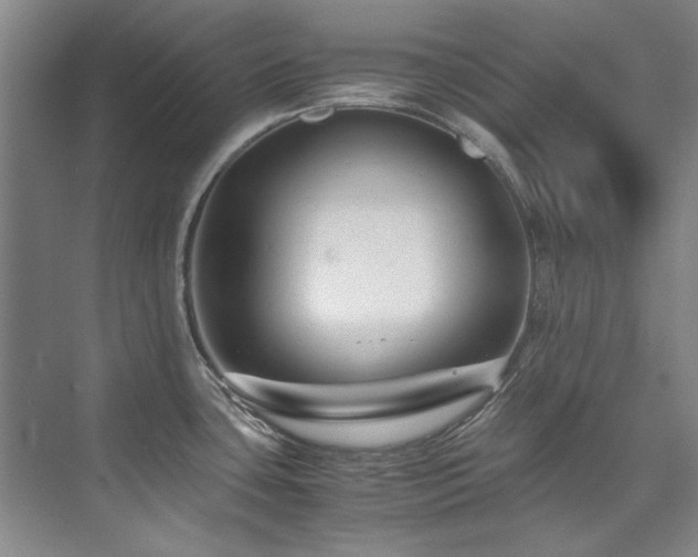 X0000075841435200609151253