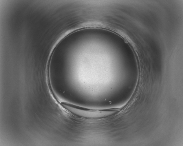 X0000075841440200609151253