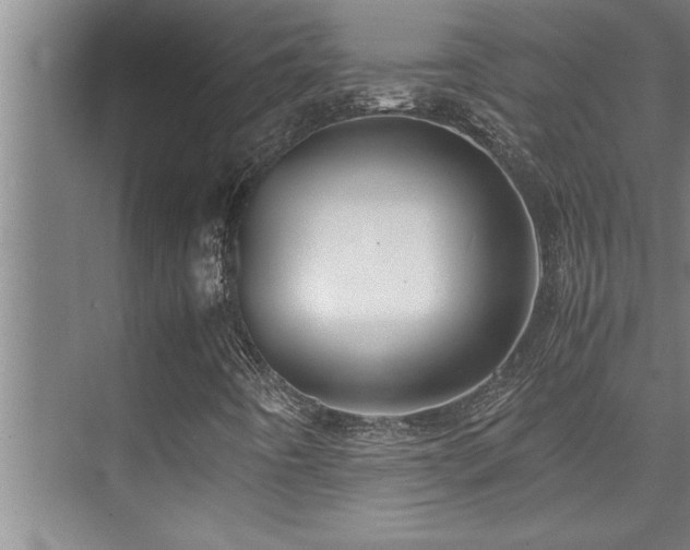 X0000075841442200609151252