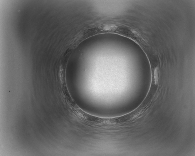 X0000075841443200609151252