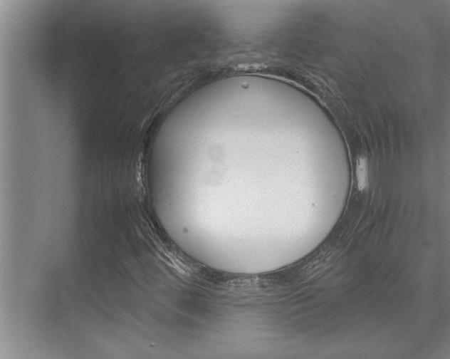 X0000075841444200609151252