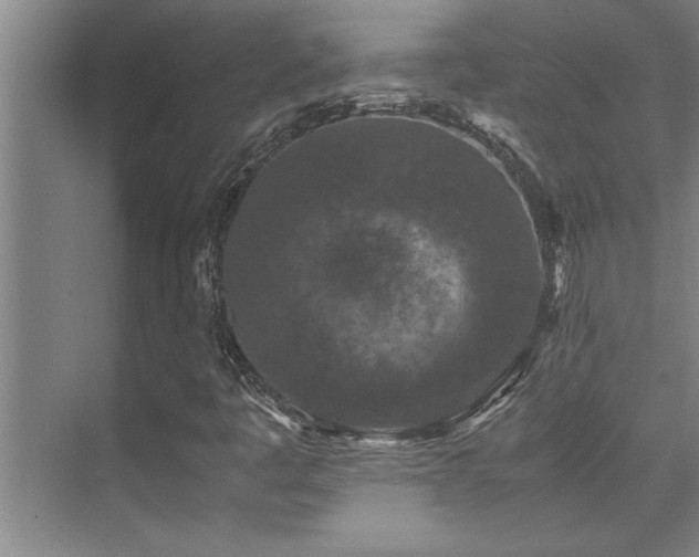 X0000075841445200609151252