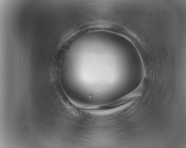 X0000075841448200609151252