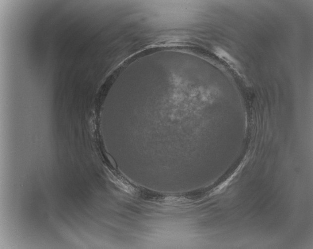 X0000075841449200609151252