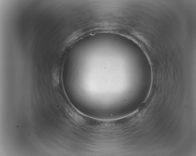 X0000075841451200609151252