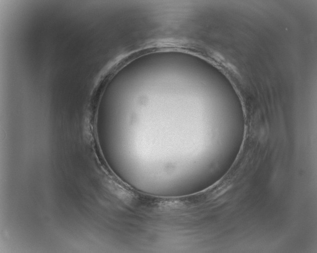 X0000075841454200609151252