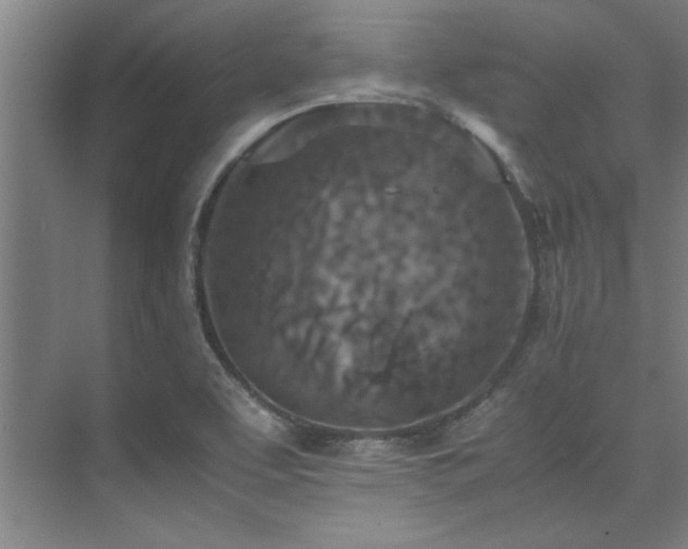 X0000075841463200609151252