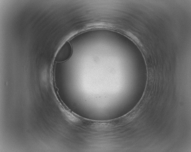 X0000075841474200609151251