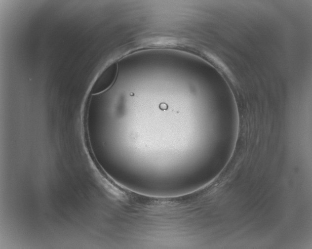 X0000075841475200609151251