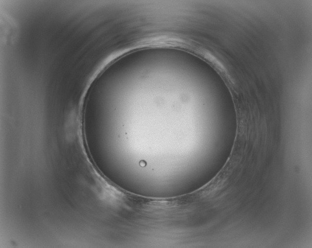 X0000075841478200609151251