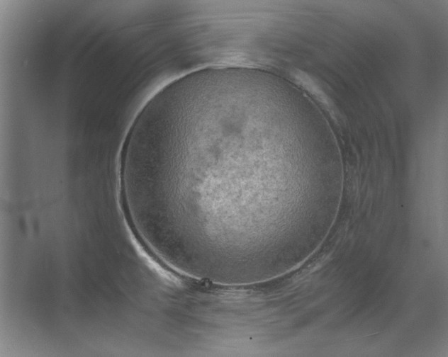 X0000075841479200609151251