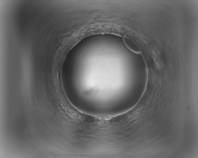 X0000075841489200609151250